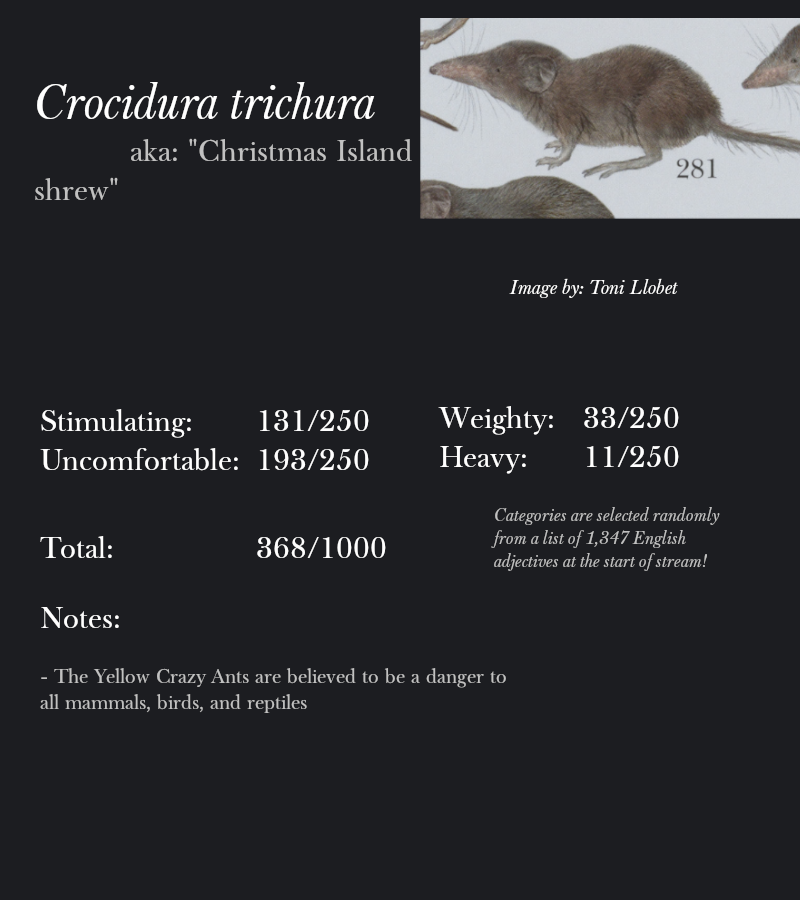 Crocidura trichura